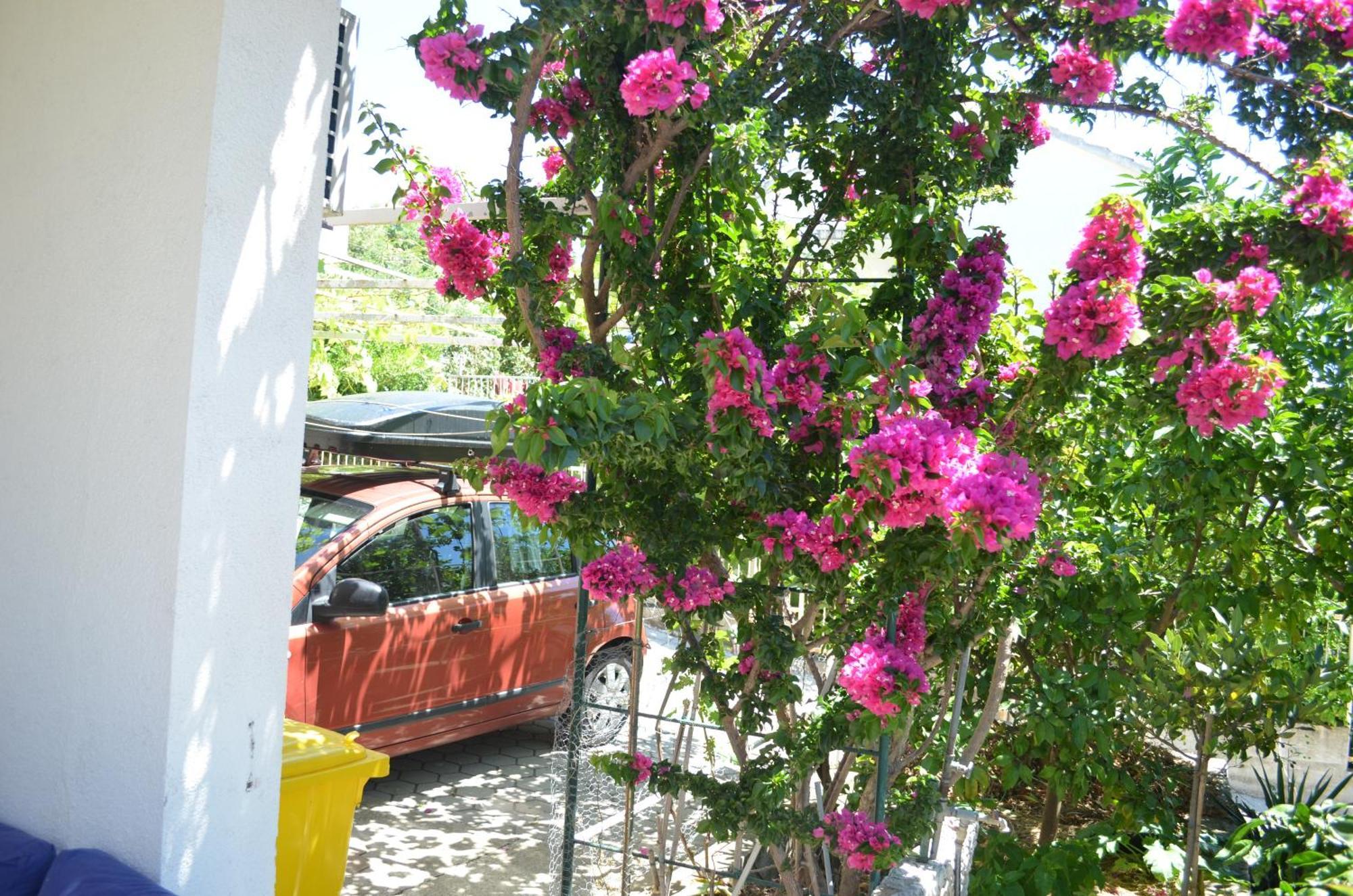 Orebic Garden House Exterior foto